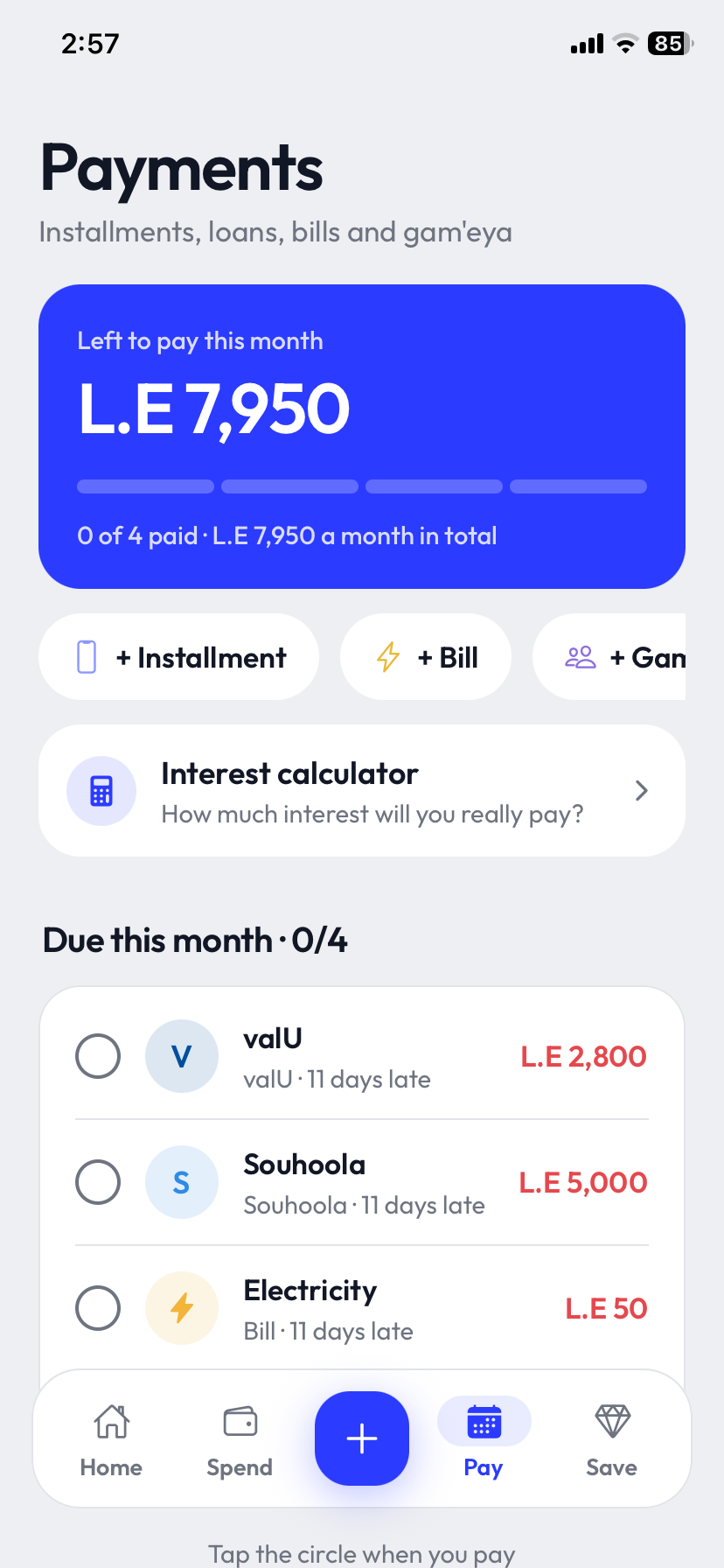 Fakka payments screen with installments and loans